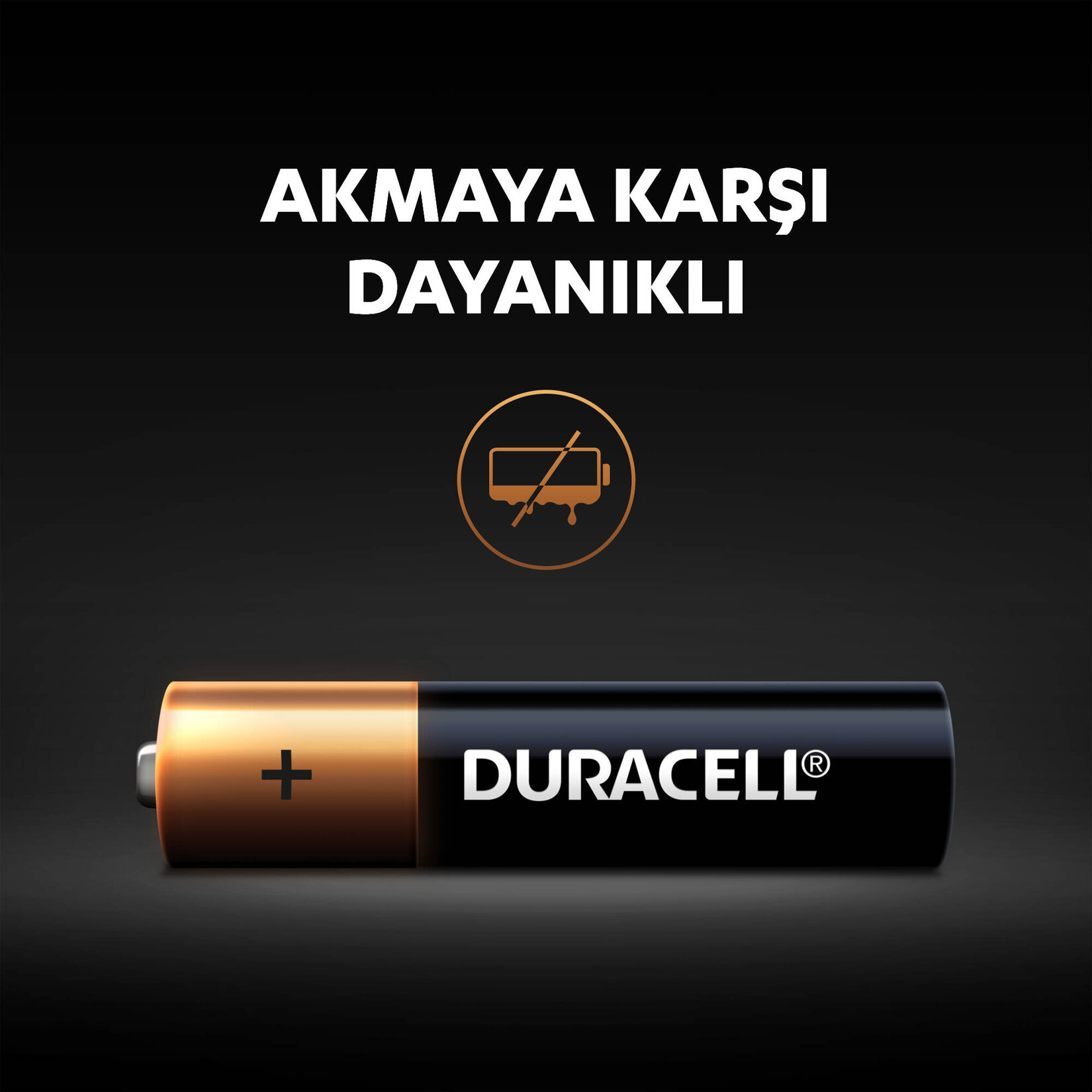 Duracell Alkalin AAA İnce Kalem Pil 1,5V (LR03 / MN2400) 8'li Paket - Görsel 5