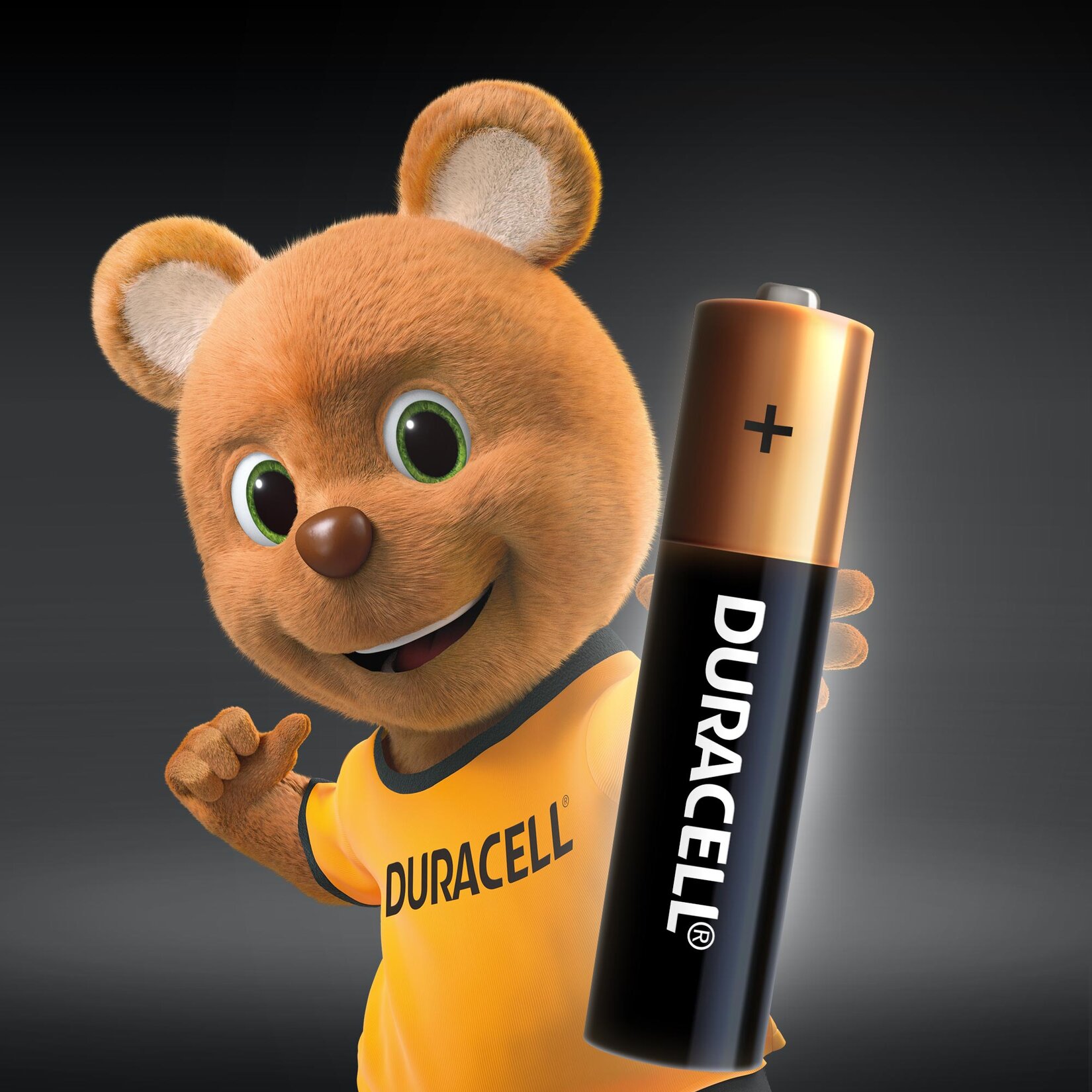 Duracell Alkalin AAA İnce Kalem Pil 1,5V (LR03 / MN2400) 8'li Paket - Görsel 2