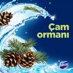 Domestos Wc Blok Çam Ferahlığı 5 x 50 G - Görsel 4