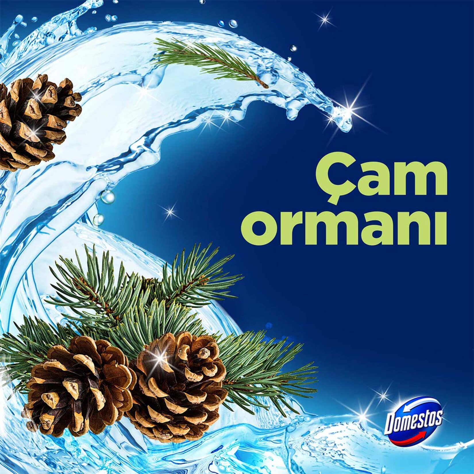 Domestos Wc Blok Çam Ferahlığı 5 x 50 G - Görsel 4