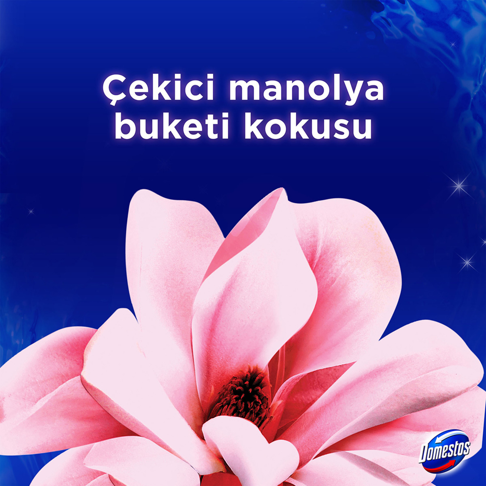 Domestos Wc Blok Manolya Ferahlığı 2 x 50 G - Görsel 4