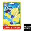 Domestos WC Blok Yoğun Parfümlü Limon Bahçesi 2x50 G - Görsel 2