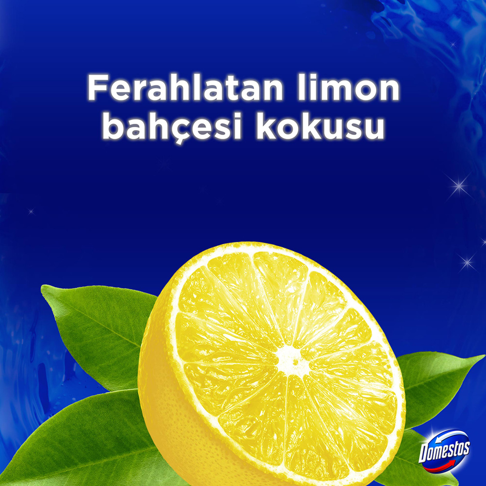 Domestos WC Blok Yoğun Parfümlü Limon Bahçesi 2x50 G - Görsel 4