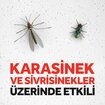 Raid Sineksavar 2in1 300 Ml - Görsel 3