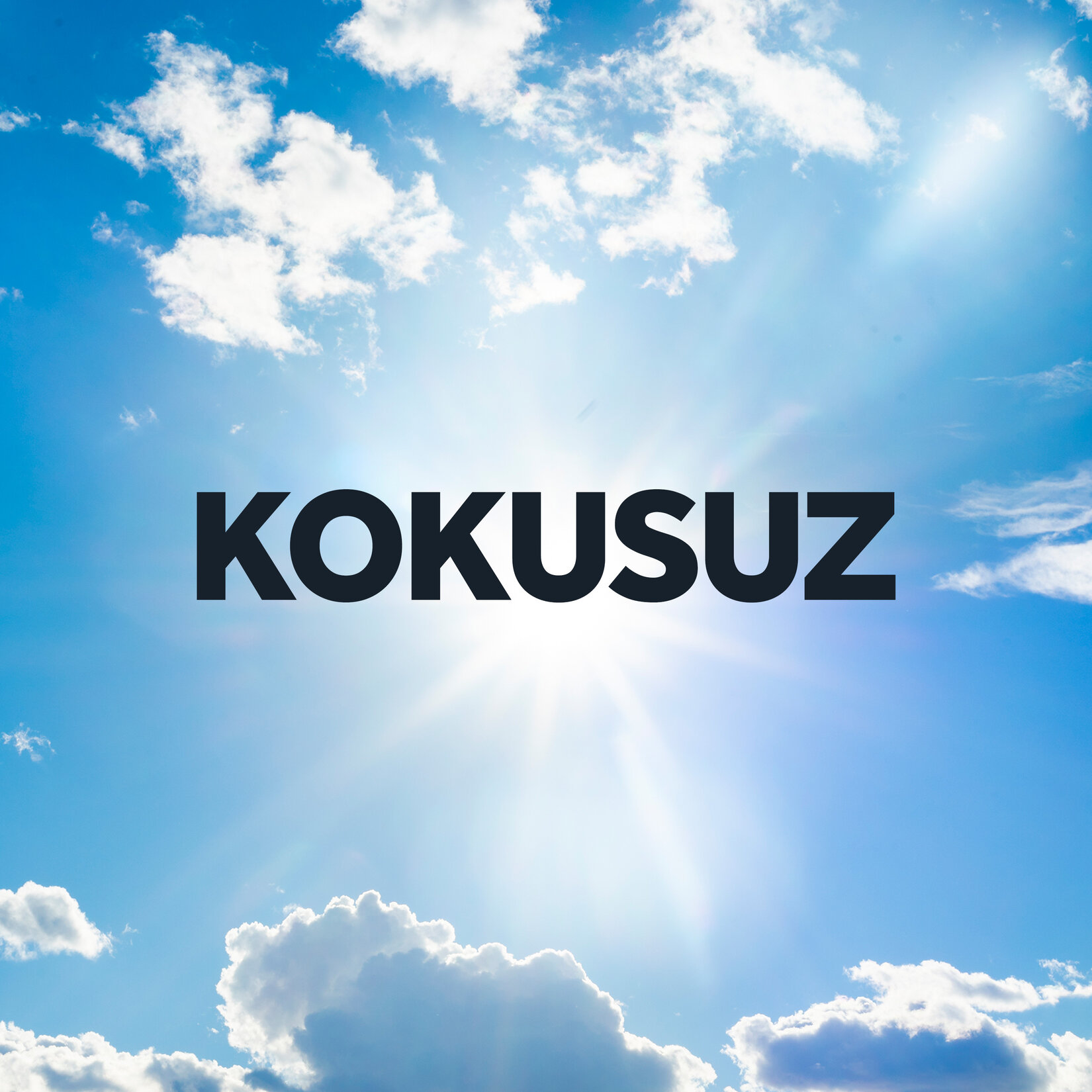 Raid Sineksavar Kokusuz - Görsel 4