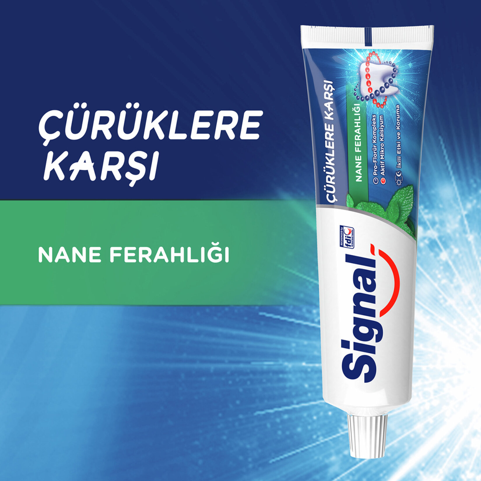 Sıgnal Çürüklere Karşı Nane Ferahlığı 100 Ml - Görsel 3