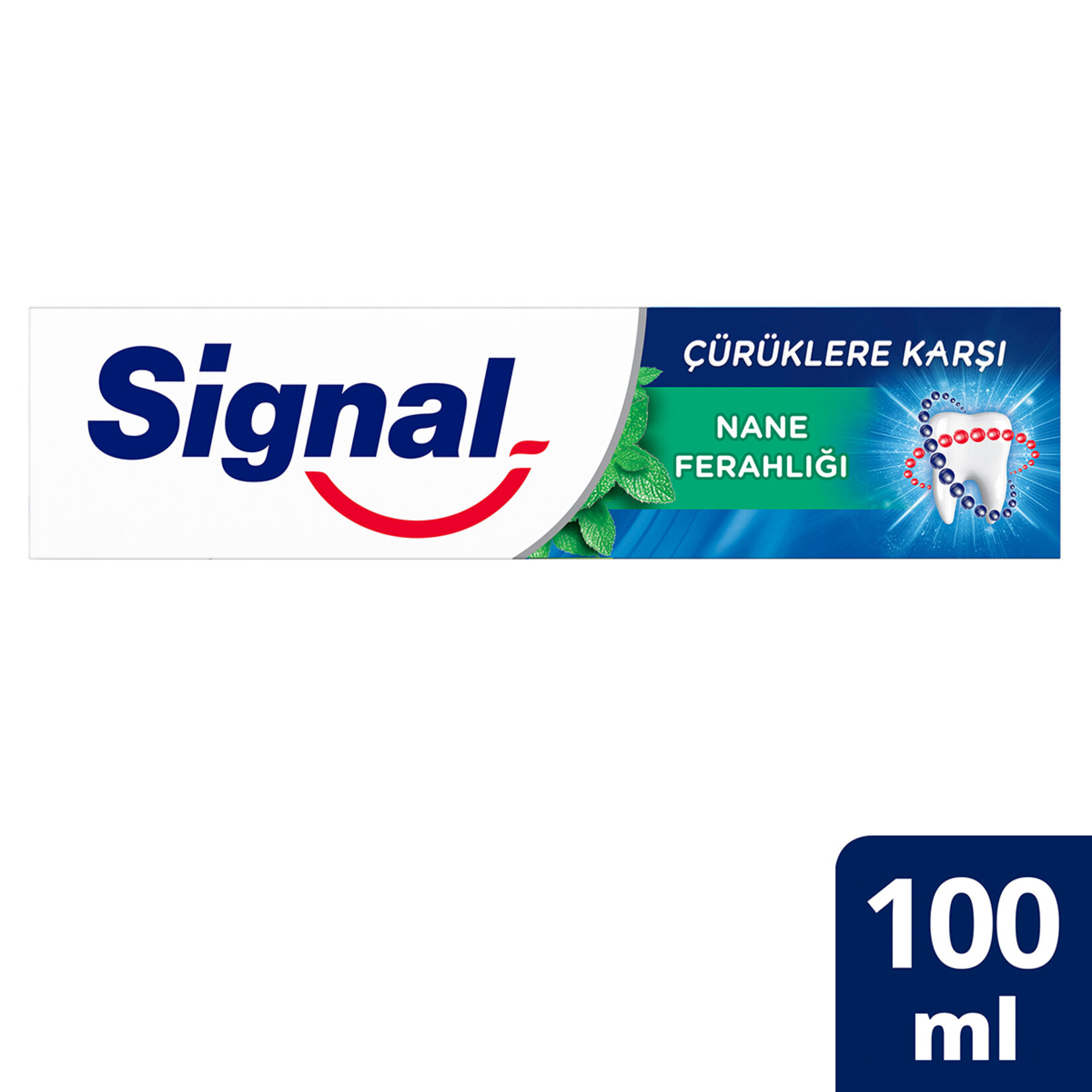 Sıgnal Çürüklere Karşı Nane Ferahlığı 100 Ml - Görsel 2