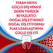 Parodontax Tam Koruma Ferahlık Diş Macunu 50 Ml - Görsel 3
