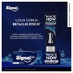 Signal White Now Diş Macunu Lekesiz Beyazlık 75 Ml - Görsel 4