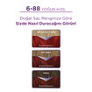 Palette Göz Alıcı Renkler 6-88 Yoğun Kızıl Saç Boyası 110 Ml - Görsel 2