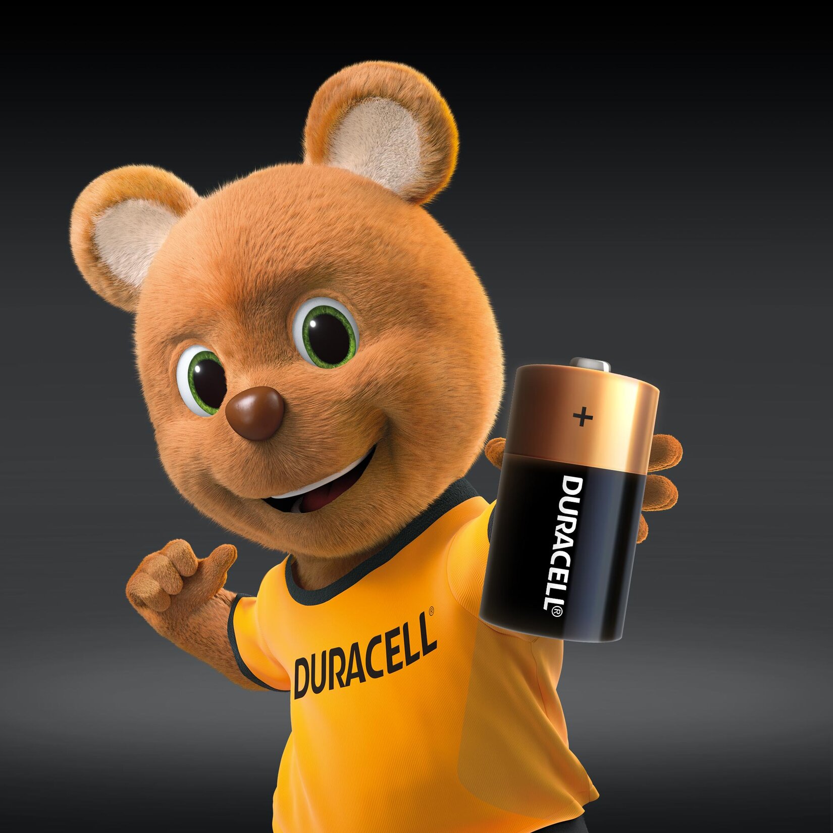 Duracell Alkalin C Pil, 1,5V (LR14 / MN1400), 2’li Paket - Görsel 2