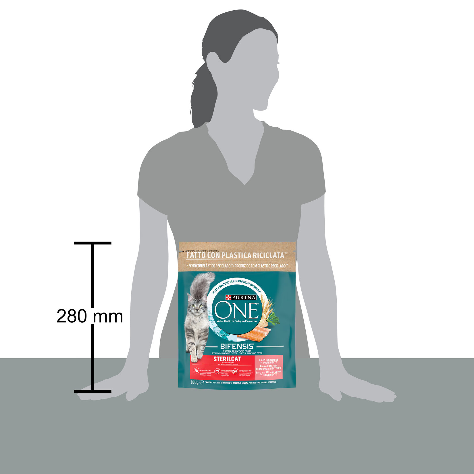 Purina One Steril Kedi Somonlu 800 G - Görsel 3