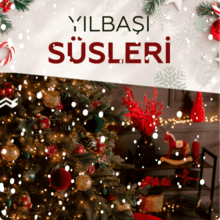 /yilbasi-susleri-c-1234a