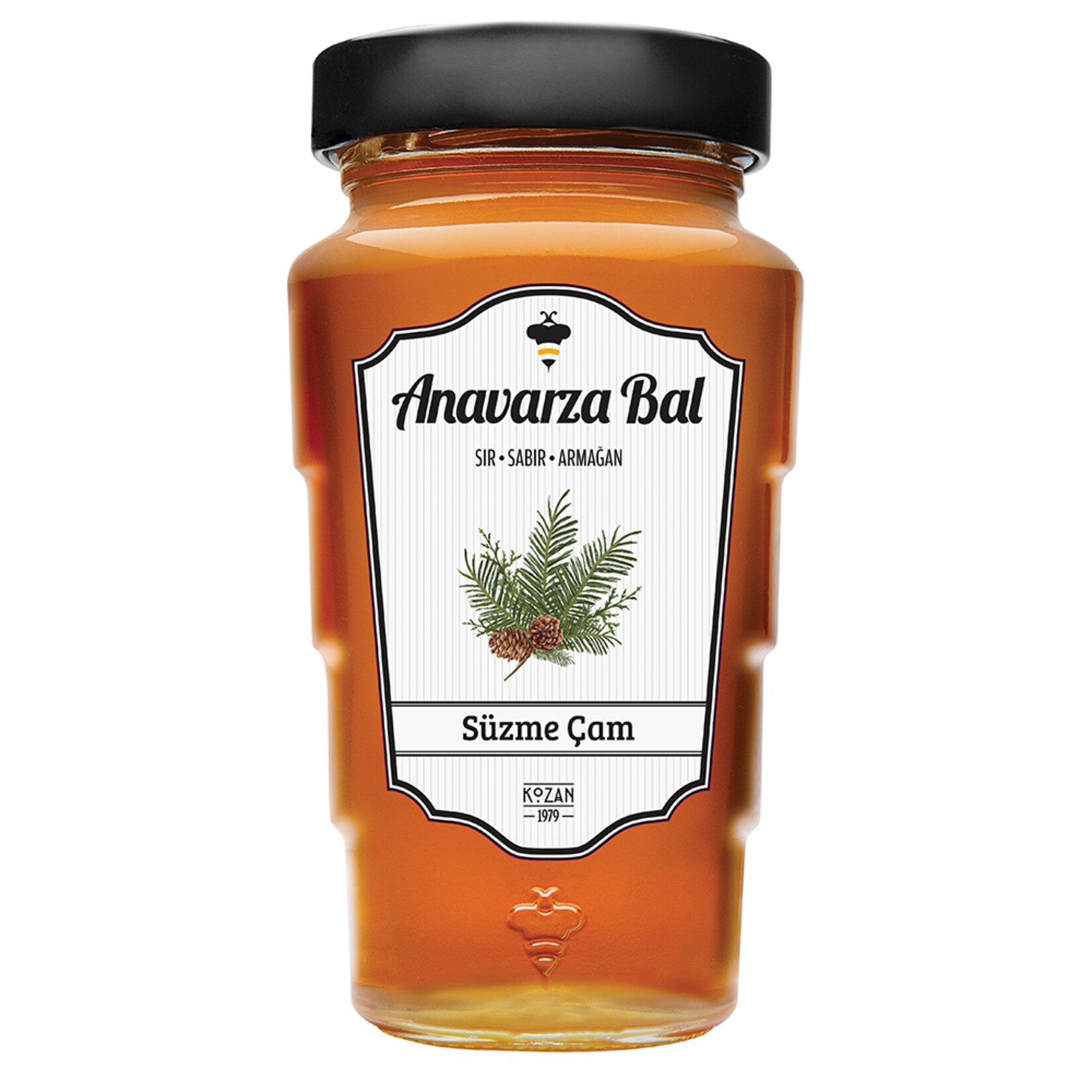 Anavarza Süzme Çam Salgı Balı 450 G