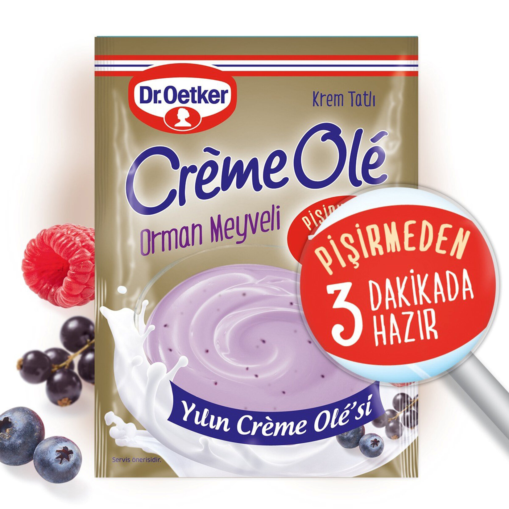 Dr. Oetker Orman Meyveli Creme Ole 89G