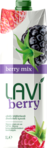 Lavi Berry Berry Mix Meyveli İçecek 1 L