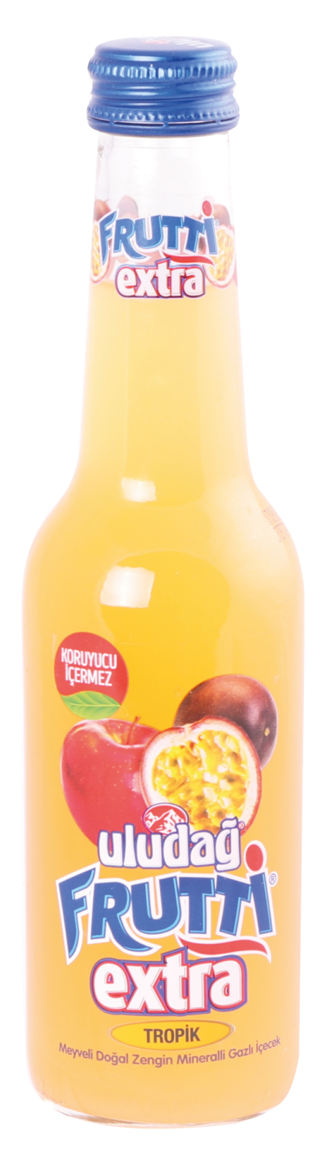Uludağ Frutti Extra Tropik 250 Ml