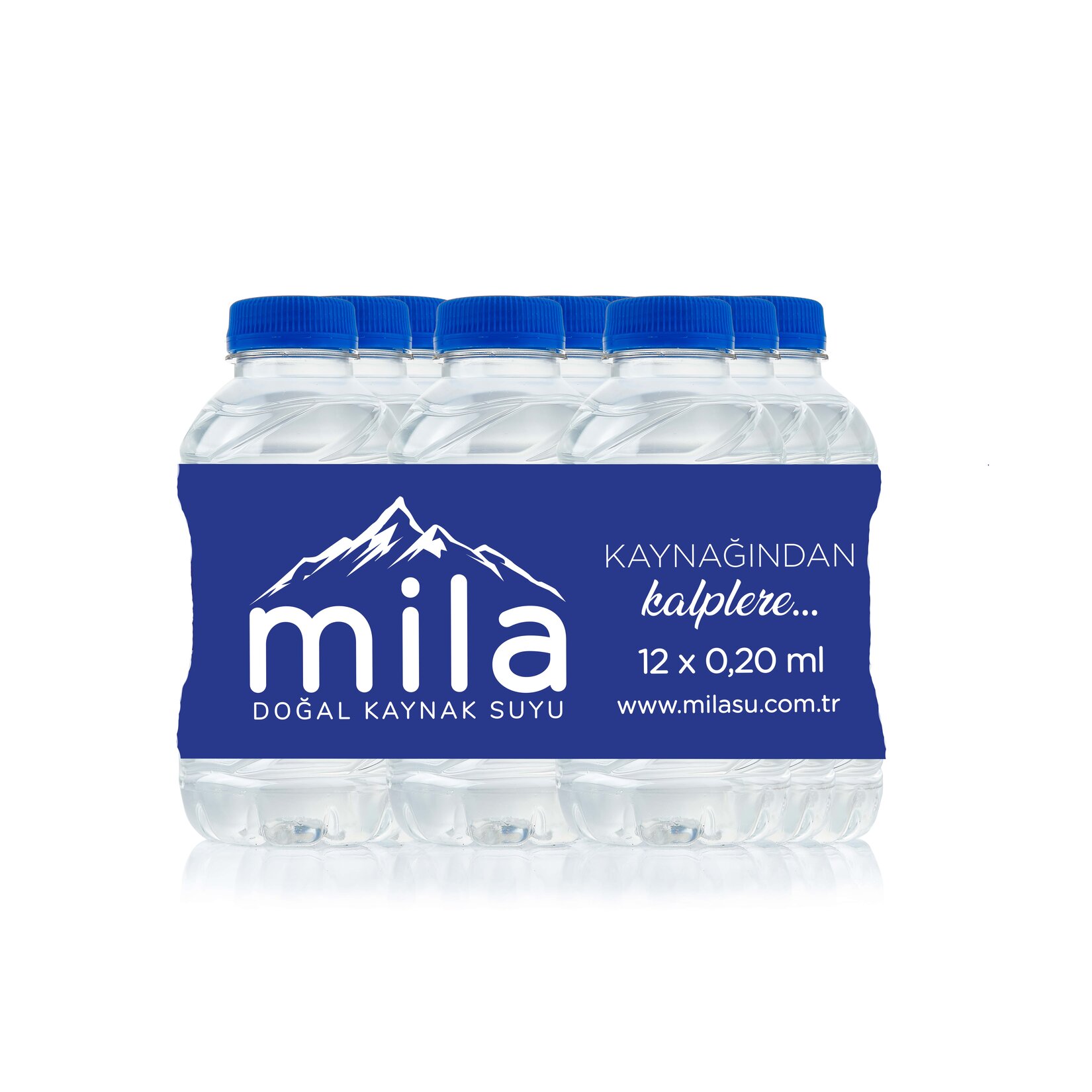 Mila Doğal Kaynak Suyu Pet 12X0,2 L