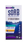 Sorb Hydration Booster Blueberry Spor İçecek 10x16 G