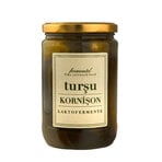 Fermentel Laktofermente Kornişon Turşusu 660 Ml