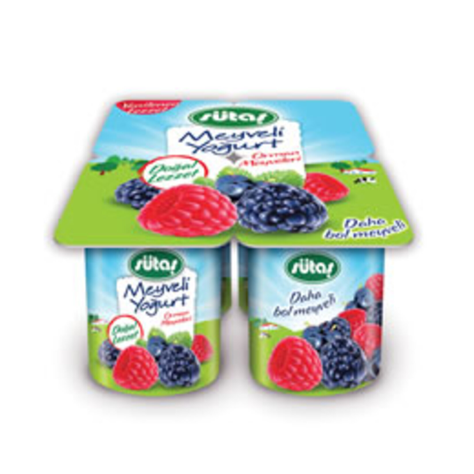 Sütaş Meyveli Yoğurt Orman Meyveli 4X115 G