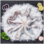 Ahtapot Orta Kg  (M)