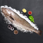 Kaya Levrek 1000/1500 G