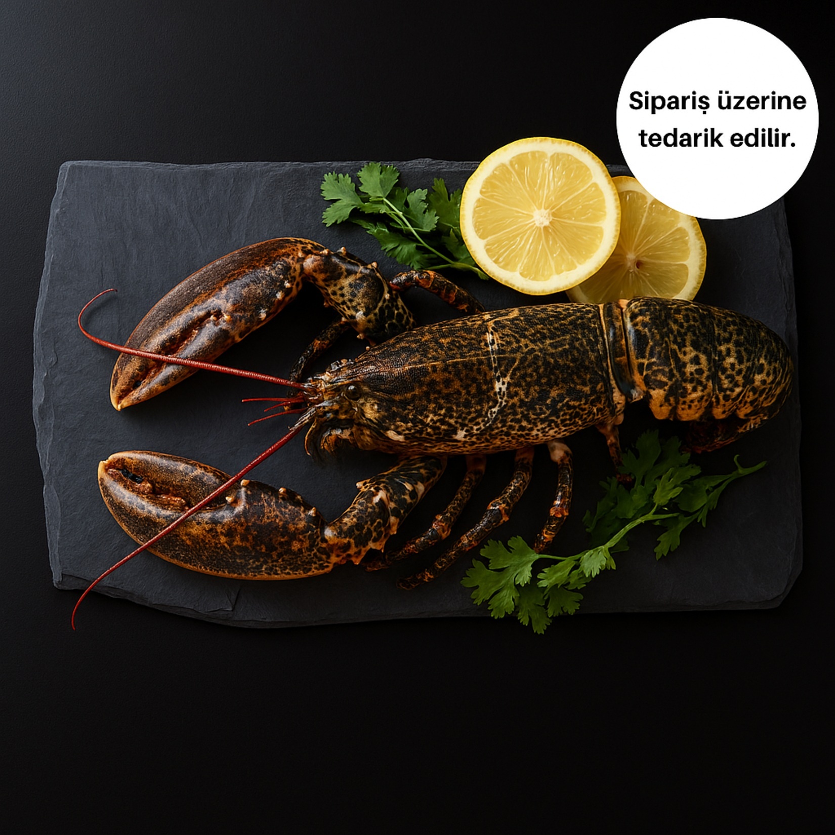 Istakoz Taze Adet