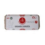 Atatürk Orman Çiftliği Organik Yumurta 10'lu M 53-63 G
