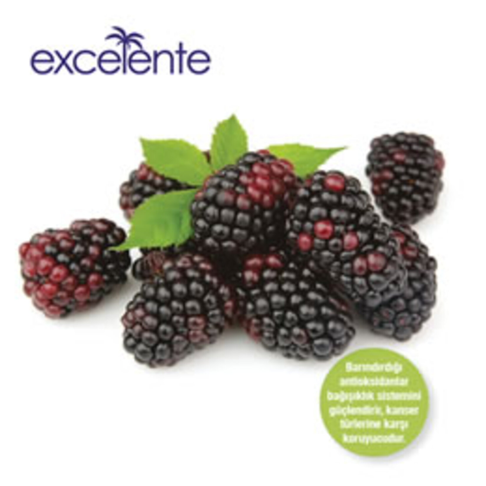 Böğürtlen Blackberry 125 G