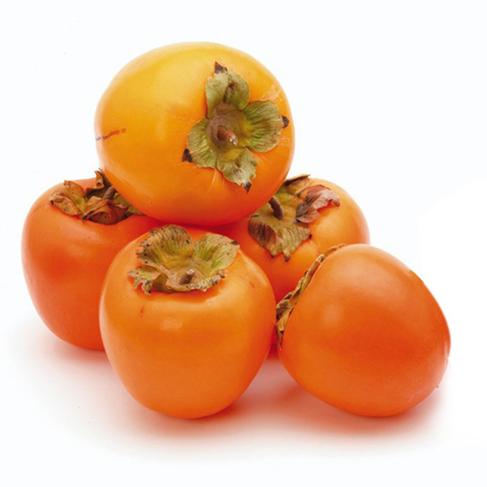 Kaki Kg