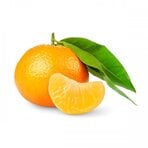 Organik Mandalina