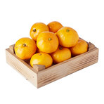 Mandalina Satsuma Kg