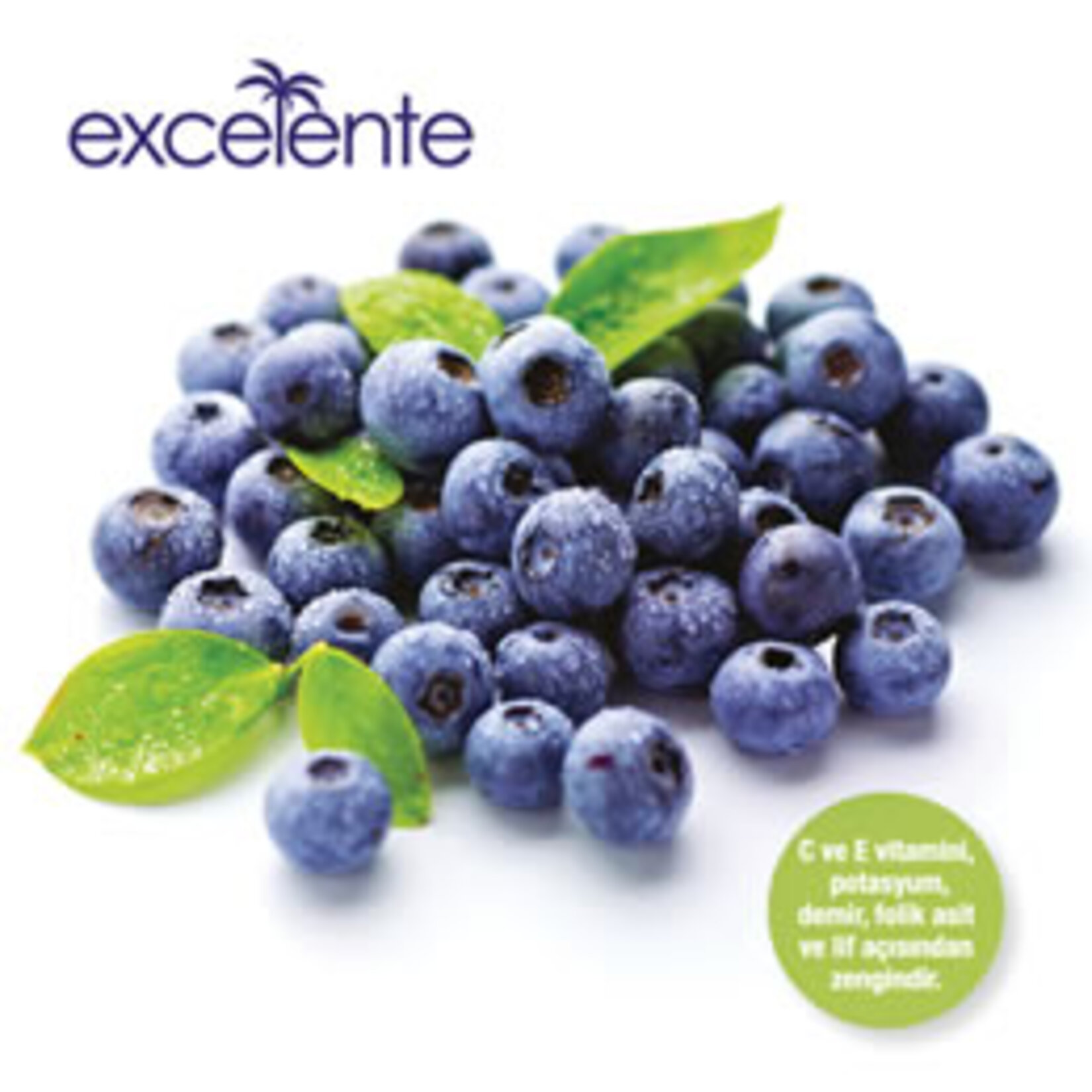 Blueberry Yaban Mersini 125 G
