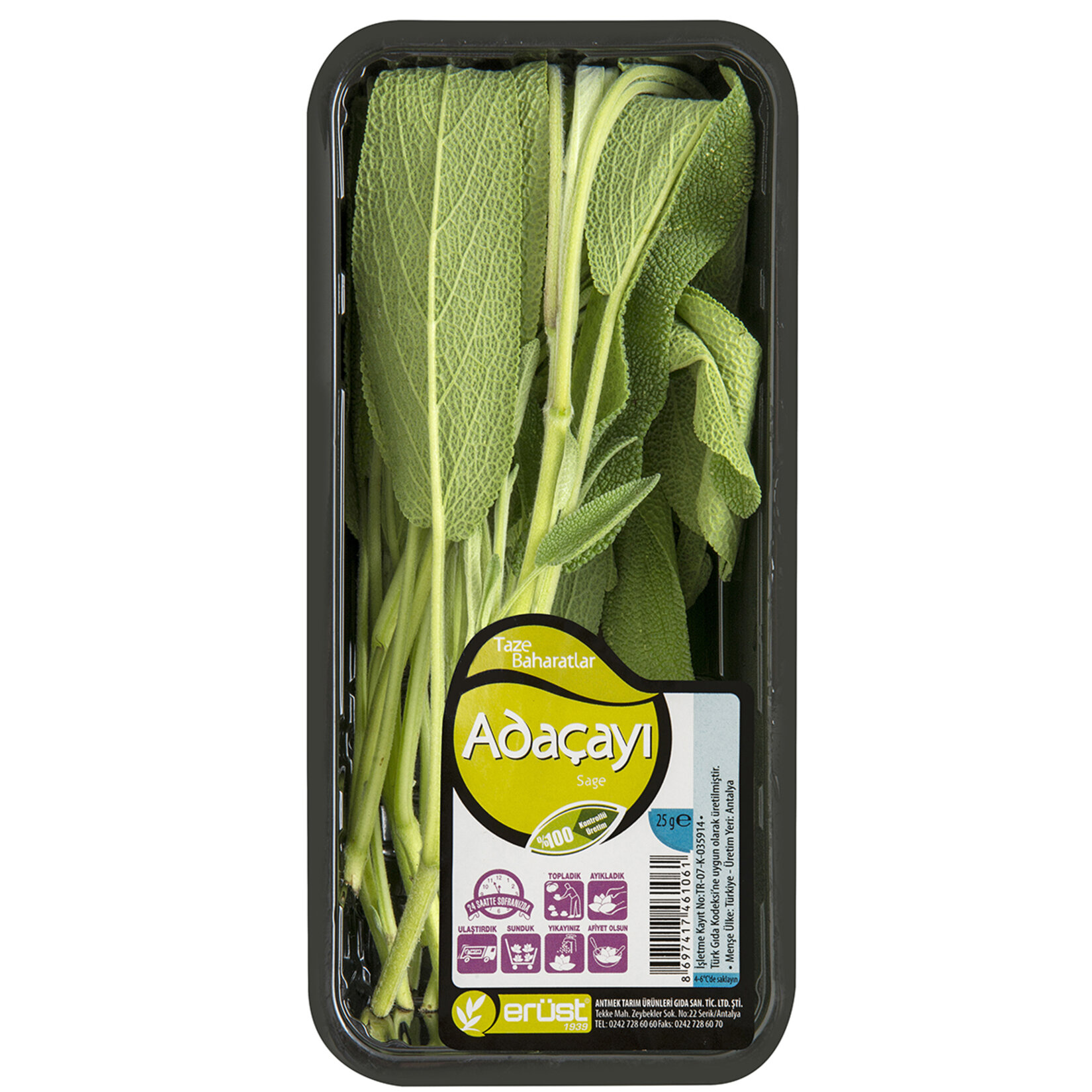 Adaçayı 25 G