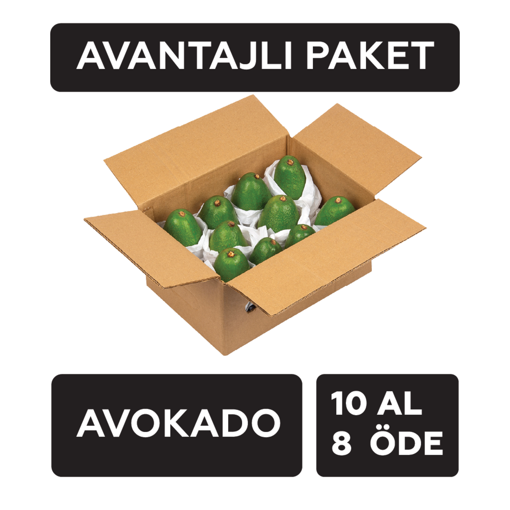 Avokado 10 Adet Kutu