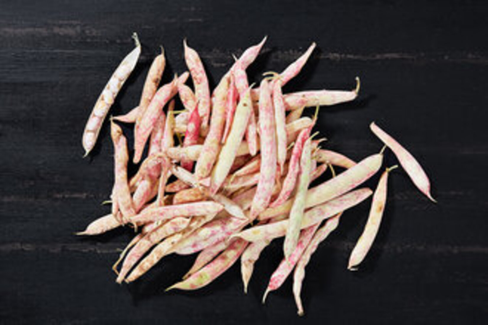 Tazedirekt Barbunya Kg