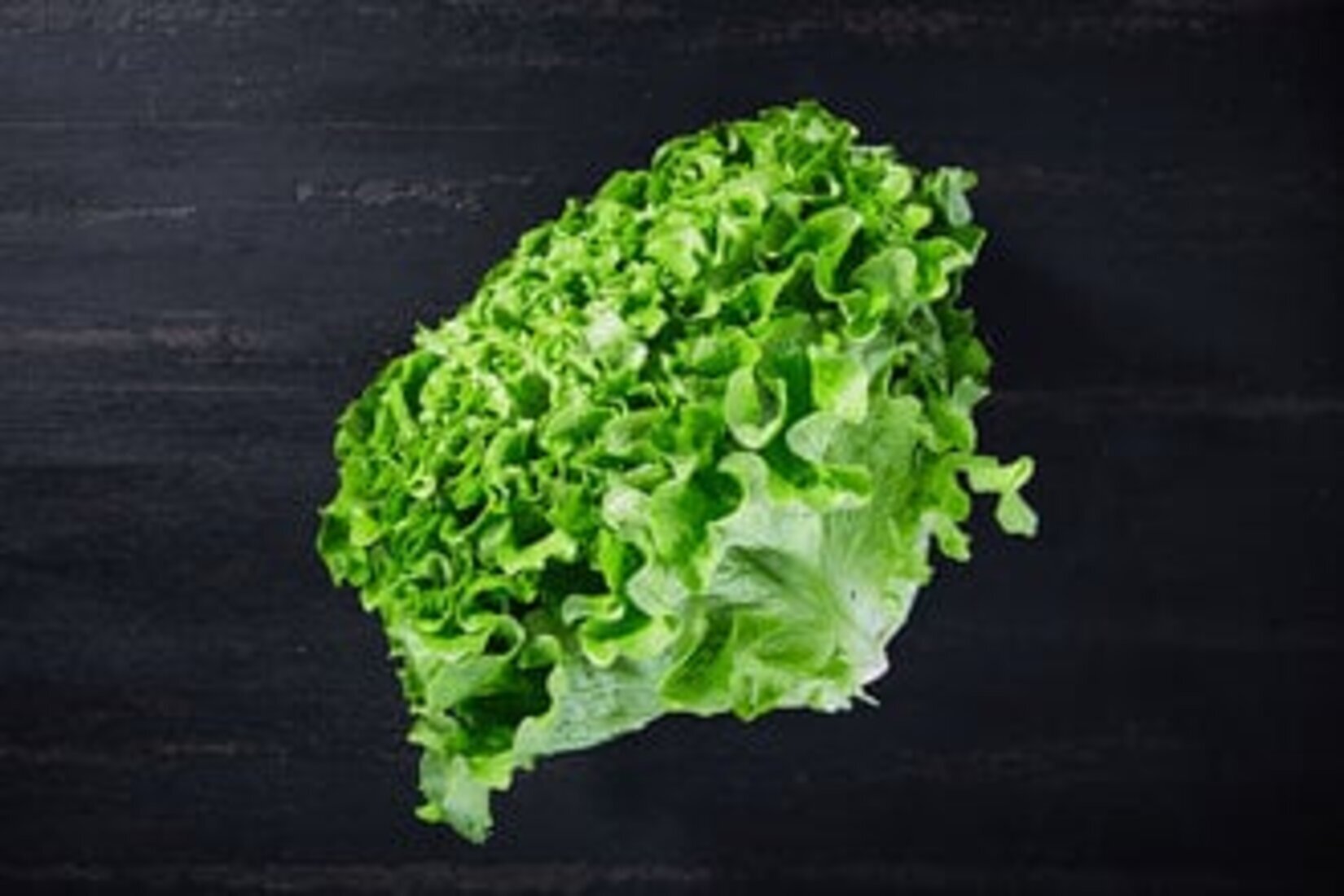 Tazedirekt Kıvırcık Adet