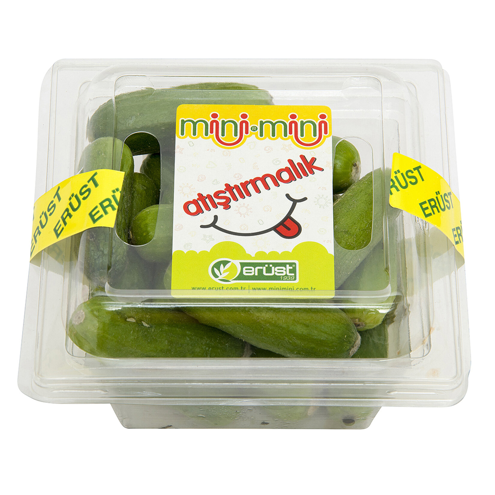 Erüst Mini Mini Hıyar 250 g