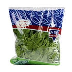 Erüst Ispanak 350 G. Paket Adet