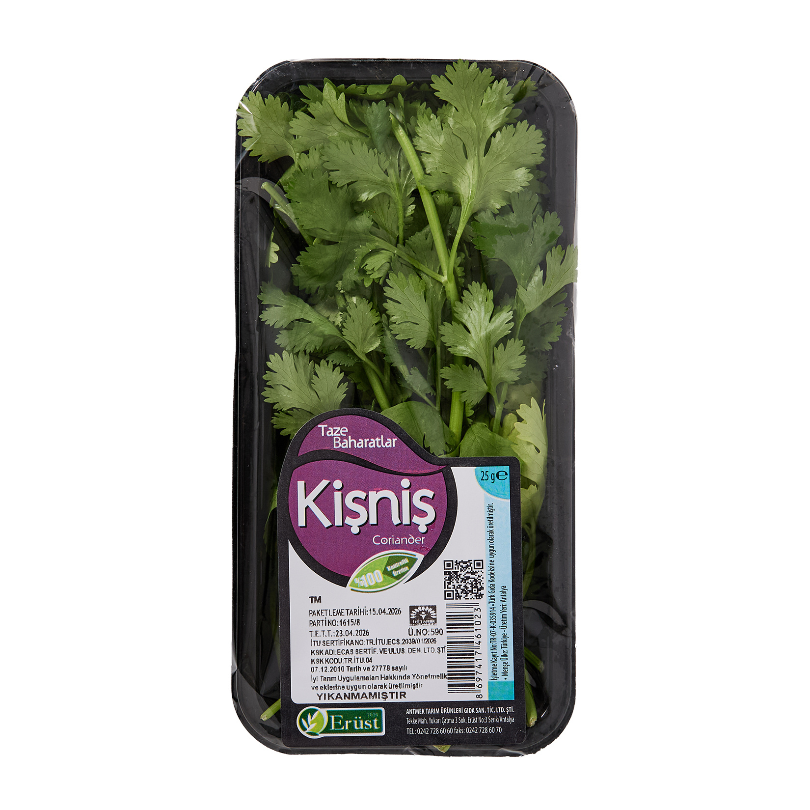 Erüst Kişniş 25 G