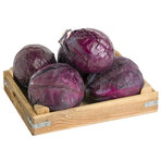 Organik Lahana Kırmızı