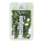 Plant Factory Fesleğen 50 G Paket Adet