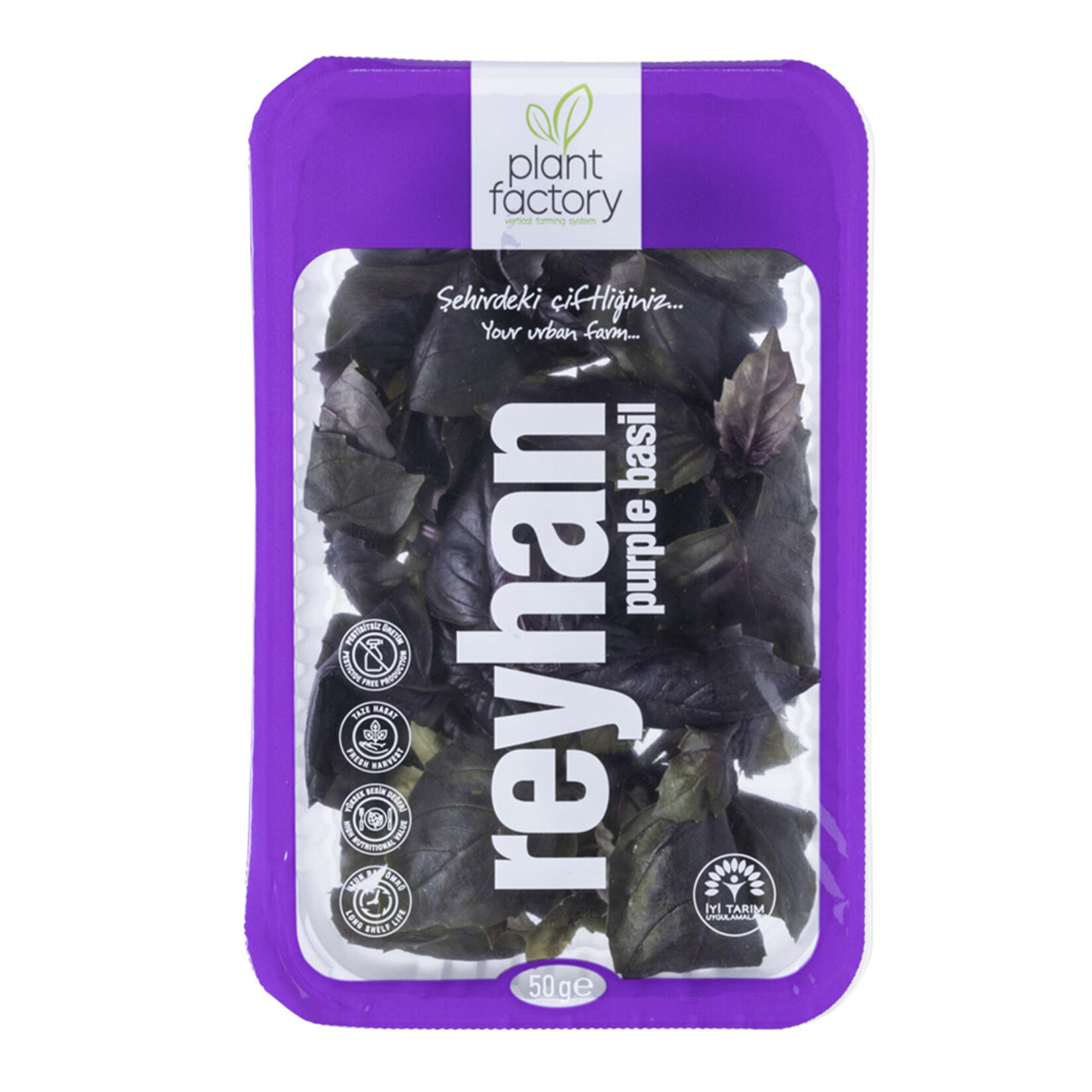 Plant Factory Reyhan 50 G Paket Adet