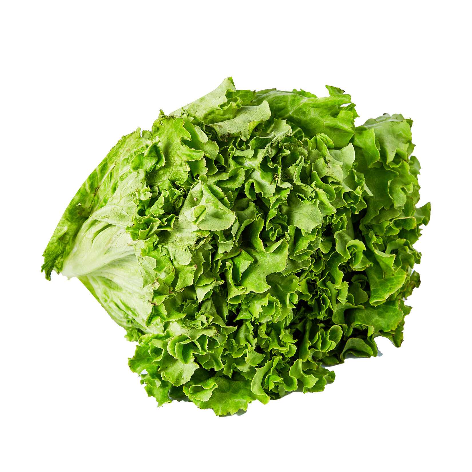 Organik Kıvırcık Kg