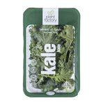 Plant Factory Yeşil Kale 100 G Paket