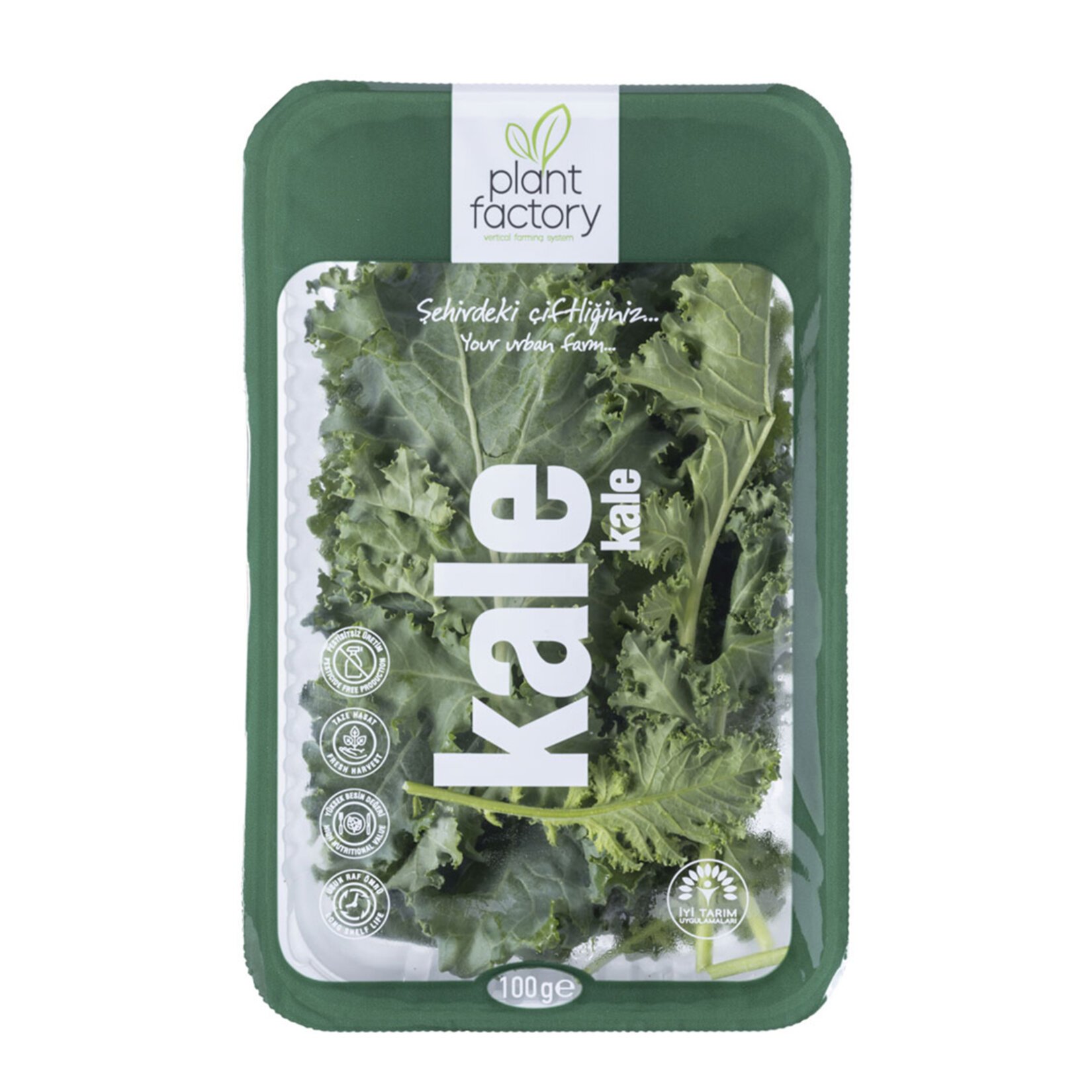 Plant Factory Yeşil Kale 100 G Paket