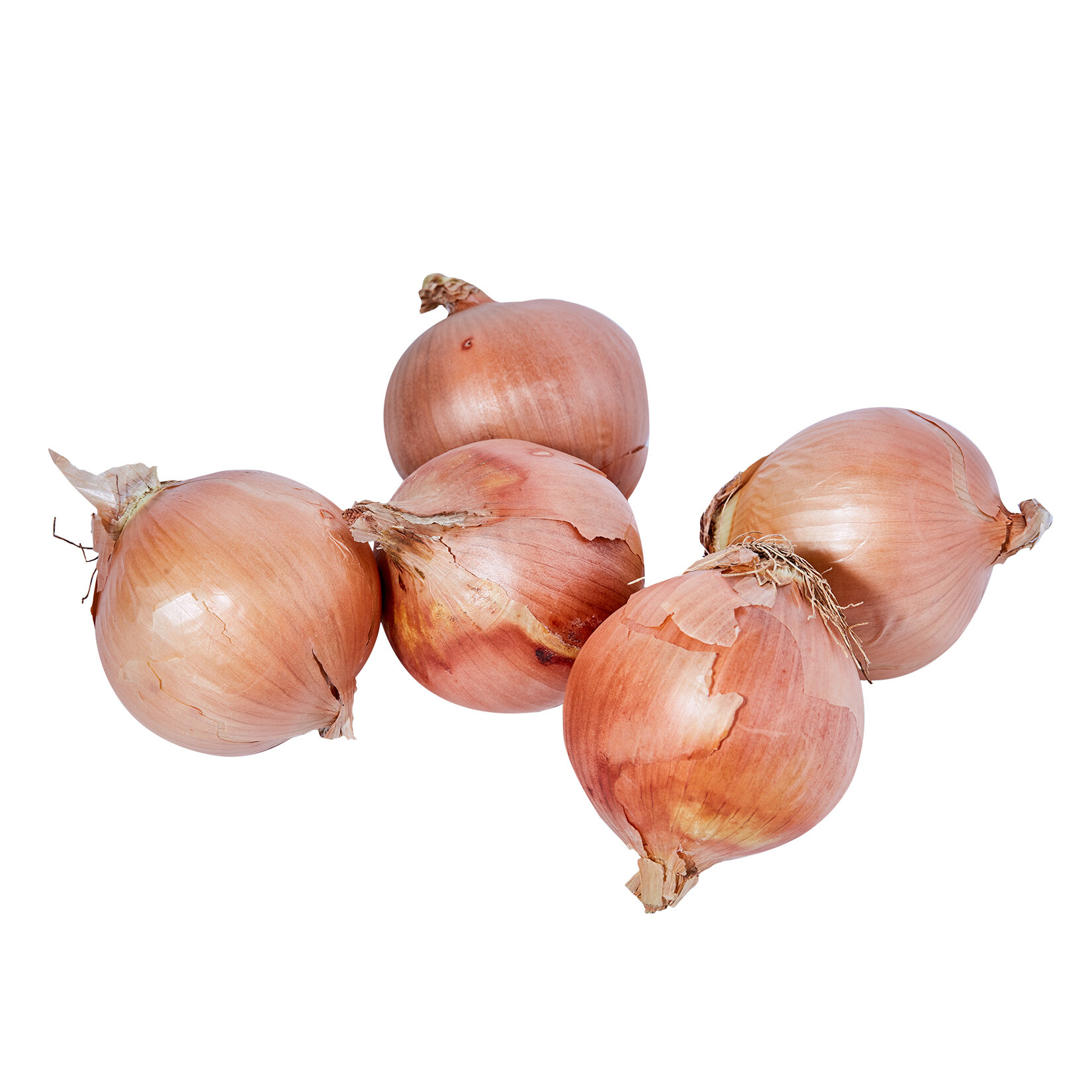 Polatlı Kuru Soğanı (Ci) Kg