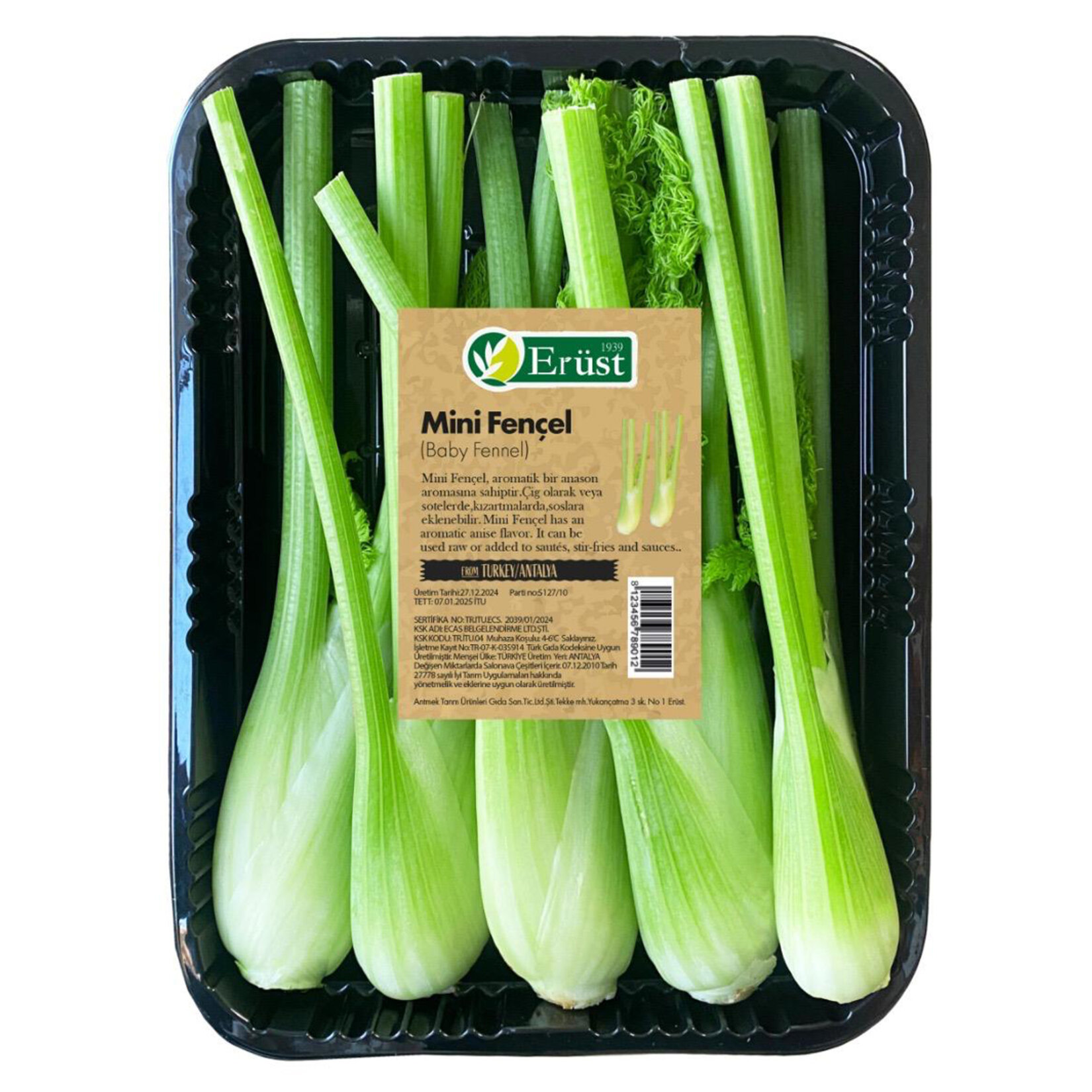 Erüst Mini Fençel 350 G
