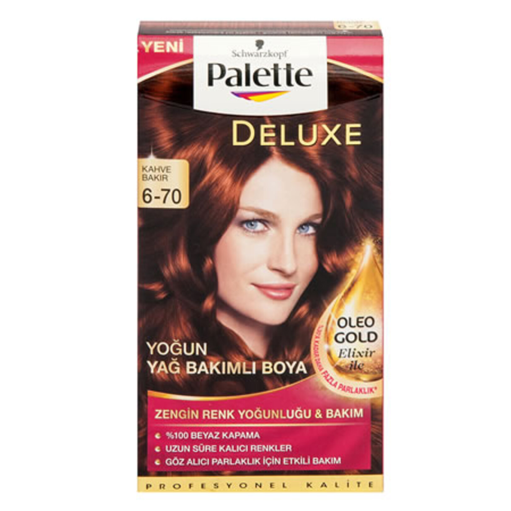 Palette Deluxe Saç Boyası 6-70 Kahve Bakır